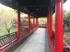 -南汇桃花村