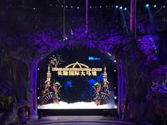 -广州长隆国际大马戏