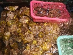 -鑫悦楼煎蟹·16年海鲜大排档