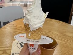 -野人先生Gelato(上海长宁龙之梦店)