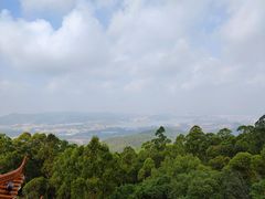 -水濂山森林公园