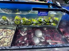 -遇上西雅图多融合海鲜自助餐厅(中房金谊广场店)