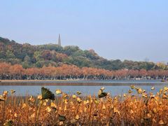 -食肆&Fourteen(武林夜市店)