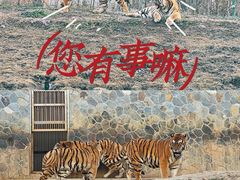 -南京珍珠泉风景区