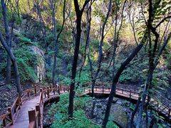 -大岭沟猕猴桃谷风景区