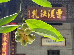 -何里玉(北京路店)