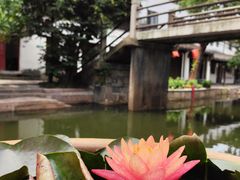 -黎里古镇