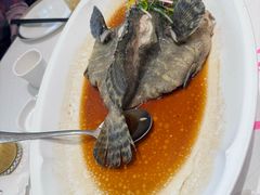 清蒸青斑鱼-品海楼·大连海胆锅贴馆(东港店)