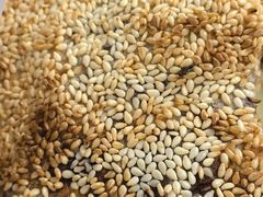 -徐记红川肉烧饼