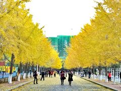 -辽宁大学(崇山校区)