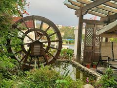 -慢丽江·云南野生菌土鸡锅(付家庄店)