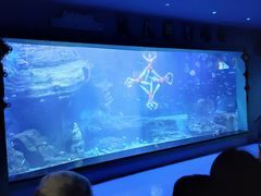 -多彩贵州城极地海洋世界