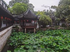 -上海醉白池公园