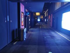 -上海颛桥万达广场