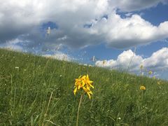 -塞罕坝国家级自然保护区