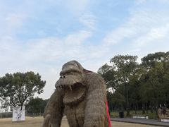 -嘉北郊野公园