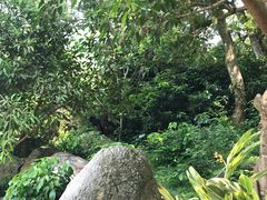 -放鸡岛生态旅游国际度假区