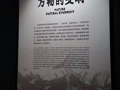 -四川大学博物馆