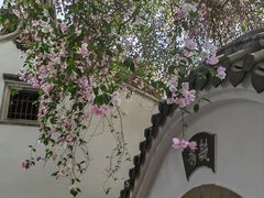 -深圳国际园林花卉博览园