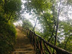 -鹿院坪生态旅游景区