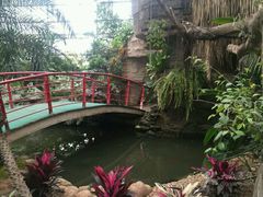 -石家庄市植物园