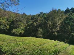 -敬亭山风景名胜区