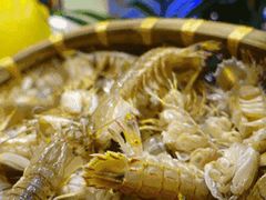 -鹏城人家海鲜酒家·23年老字号(较场尾店)