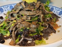 -羲和雅苑•北京烤鸭(乐园道万象城店)