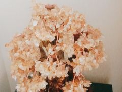 -悦享采耳·洗头头疗·推拿SPA(杭州店)