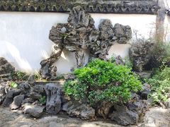 -上海醉白池公园