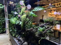 -森味薪火烧•烧鸟居酒屋•日本料理(望京店)