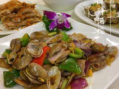 辣炒花甲-新金盛·海鲜酒楼(盐田店)