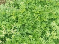 -故乡缘·香格里拉山庄(冷竹路店)