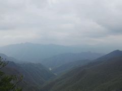 -牛背梁国家森林公园