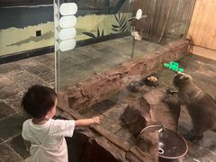 -太阳岛度假酒店