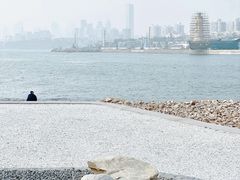 -小麦岛公园