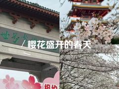 -武汉大学-樱园