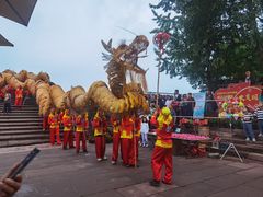 -中国大熊猫保护研究中心雅安碧峰峡基地