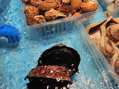-1718海鲜姿造(苏宁宴请臻选店)