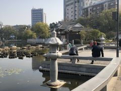 -孺子亭公园