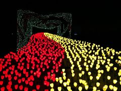 -长春公园(普阳街道)