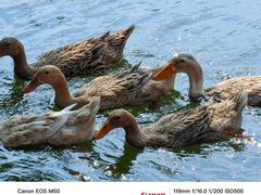 -台州府城(东湖)