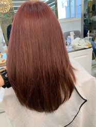 -潘多拉Hairsalon