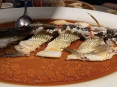 -丹江渔村(望京店)