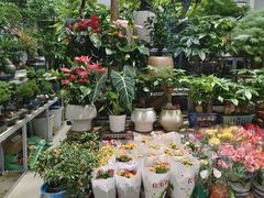 -三旗百汇商品城