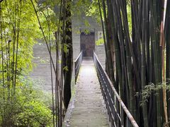 -鹿野苑石刻艺术博物馆