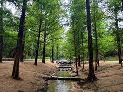 -白水寺森林公园
