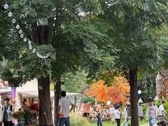 -HERRE·FARM 赫尔露营农场·团建聚会包场