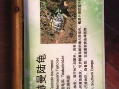 8.0-上海大自然野生昆虫馆