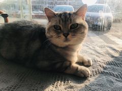 -平行世界·猫咖(首经贸店)